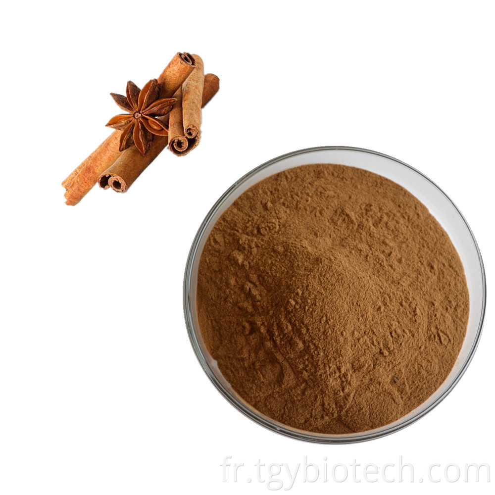 Ceylon Cinnamon Powder